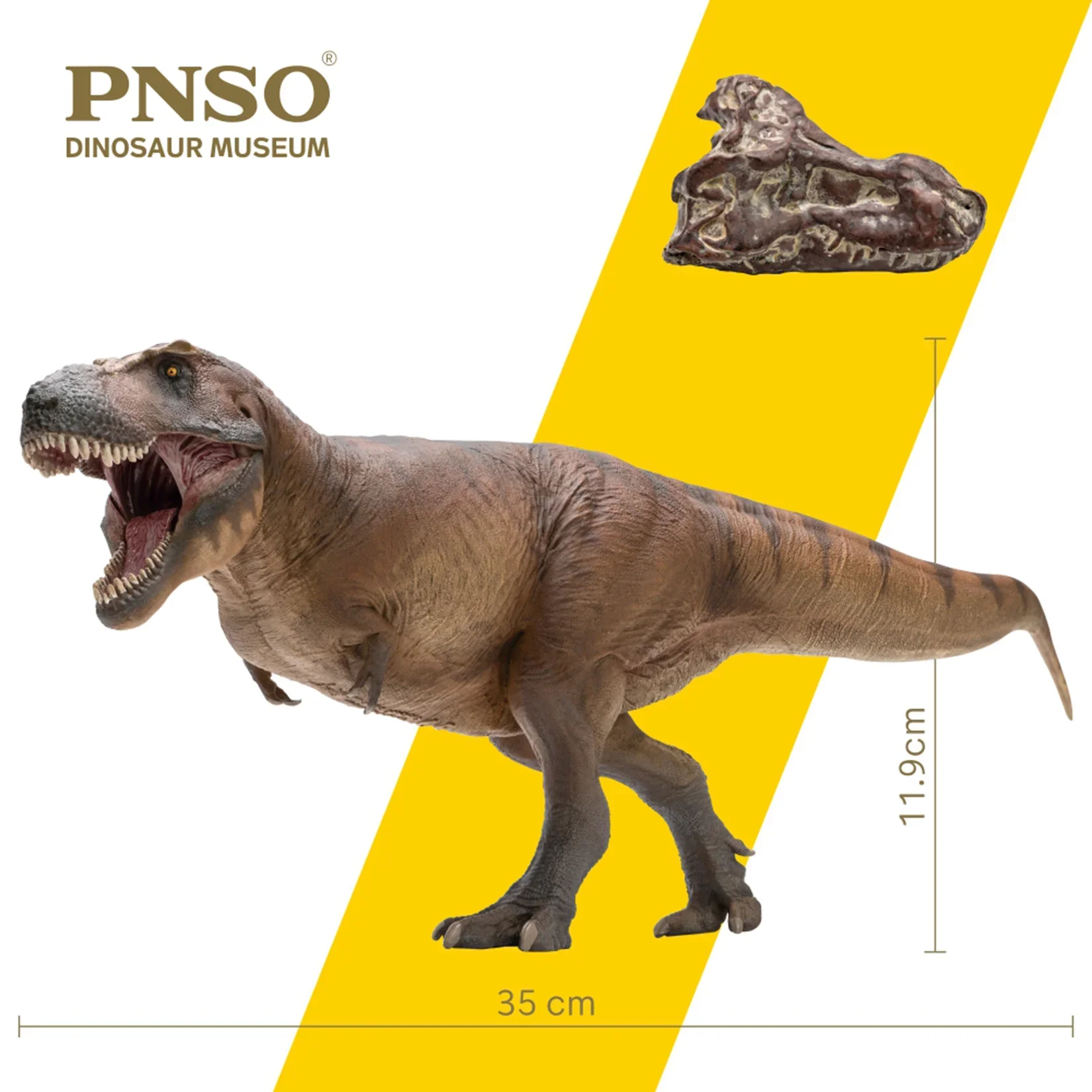 Resin Art Decoration Items - PNSO 1/35 Tyrannosaurus Rex Cameron Modell