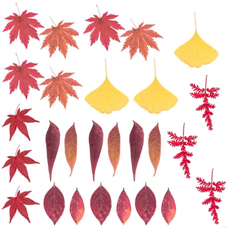 Getrocknete gepresste für Harz – Dried Flower Pressed Bewertung und Preis