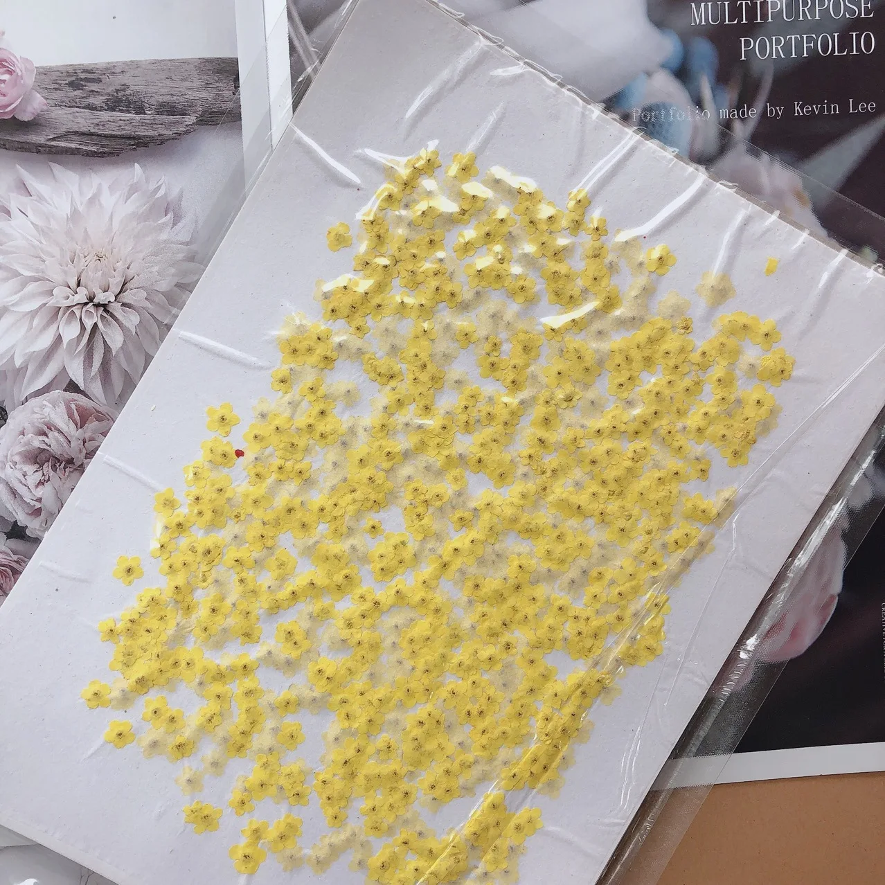 80 Stück/0,5-1,5 cm, Gepresste – Dried Flower Pressed Bewertung und Preis