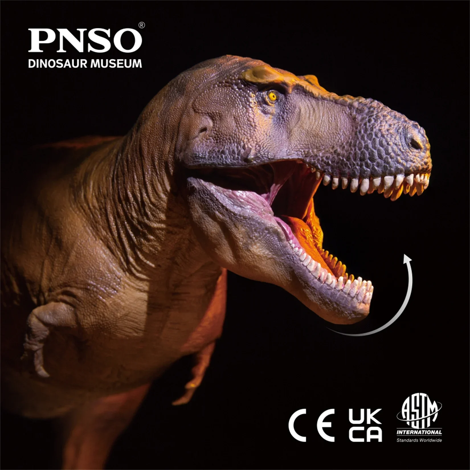 PNSO 1/35 Tyrannosaurus Rex Ca – Resin Art Decoration Items Bewertung und Preis