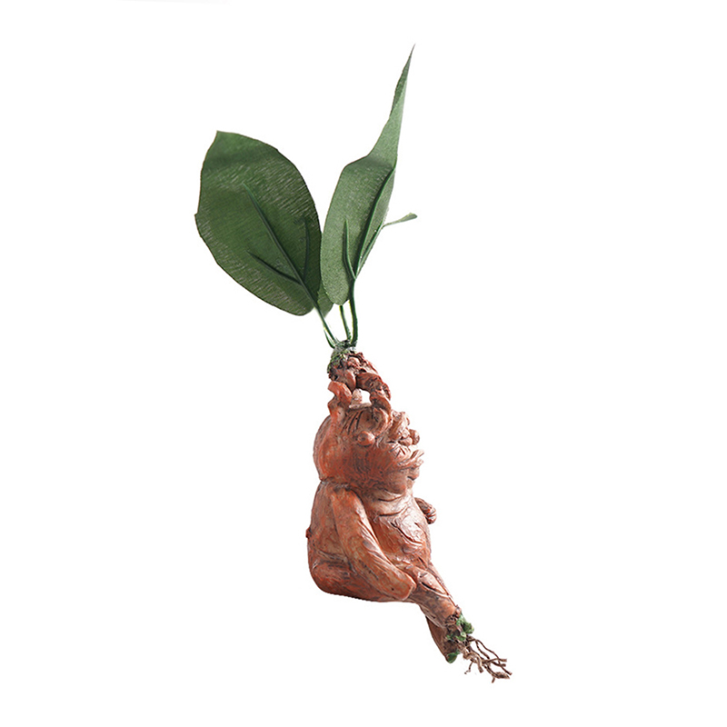 1PCS Mandrake Gras Harz Statue – Resin Art Anniversary Gift Bewertung und Preis